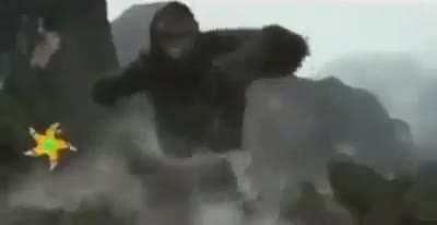 idk where to put his