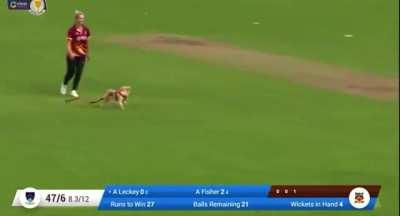 Good Ballboy To The Rescue