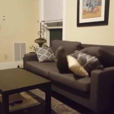 She tries her best...