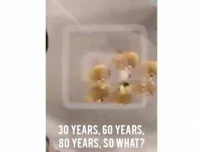 A speech by Ahmad Massoud yesterday rejecting Haqqanis claim of surrender [eng Subs]