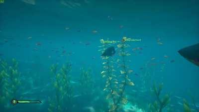 So I was playing Sea Of Theives with some mates... (repost Bc last one wasn’t “perfectly cut”)