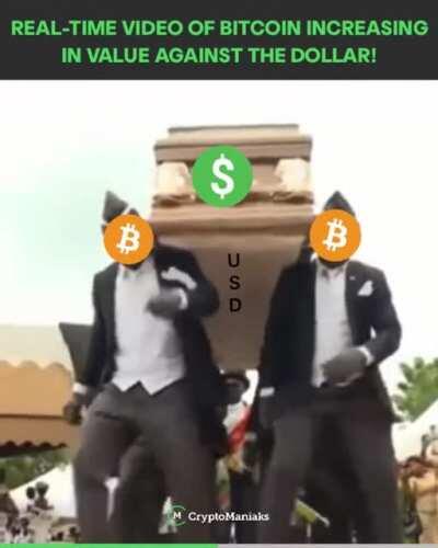 Damn, are we seeing the official funeral of the USD right now! Bitcoin 👑