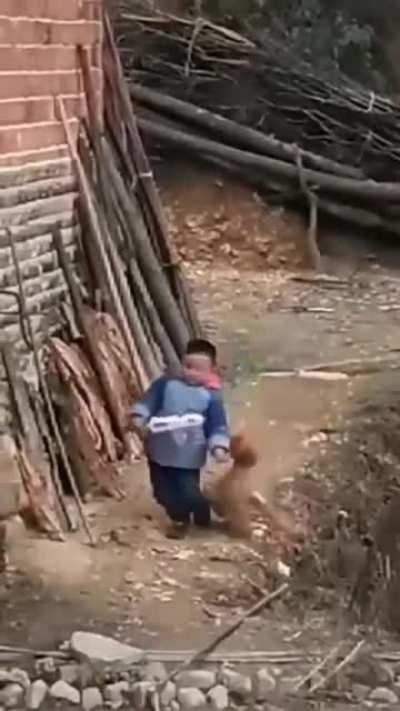 Why did the chicken cross the road? Cause the kid pissed it off