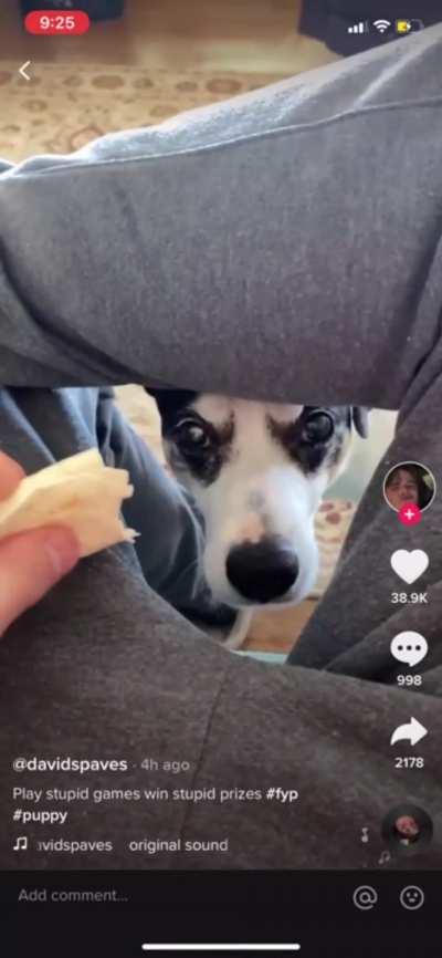 Guy teases dog with food