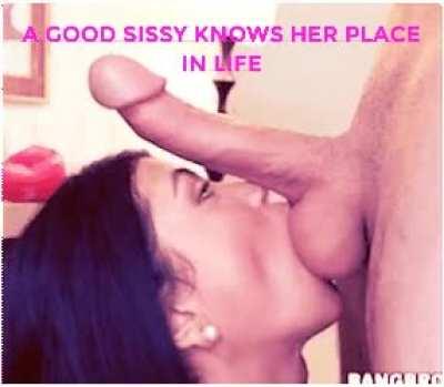 I know I do. Does any other sissy do?