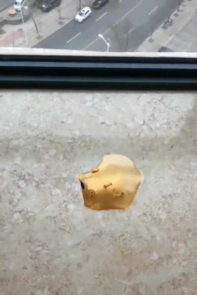 Terminator Piggy wiggy