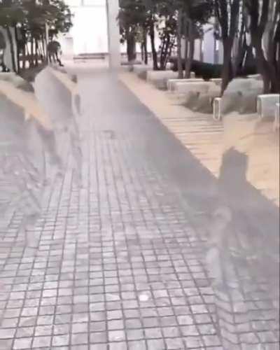 Ah shit, here we go again.