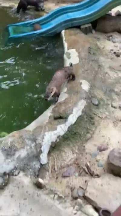 Didn’t realize these guys were so fast!