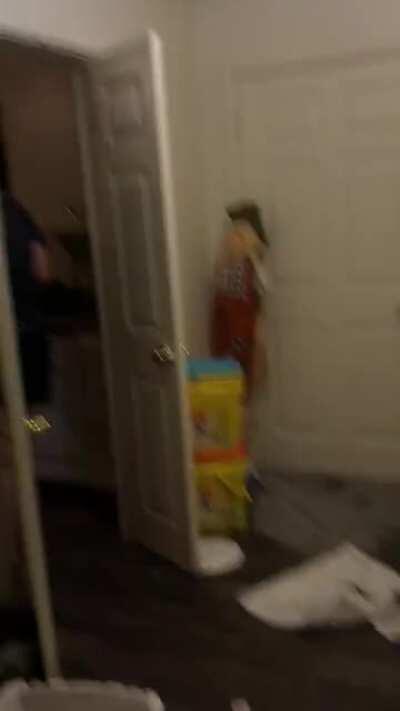 This is a vid of my roommate after she put cat poop in my wash and poured litter all over the house after I reported her for fostering kittens that she was not taking care of. She’s evil and I hope she gets famous.