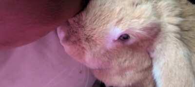 Her facade wasn't very flawless but she's trying.