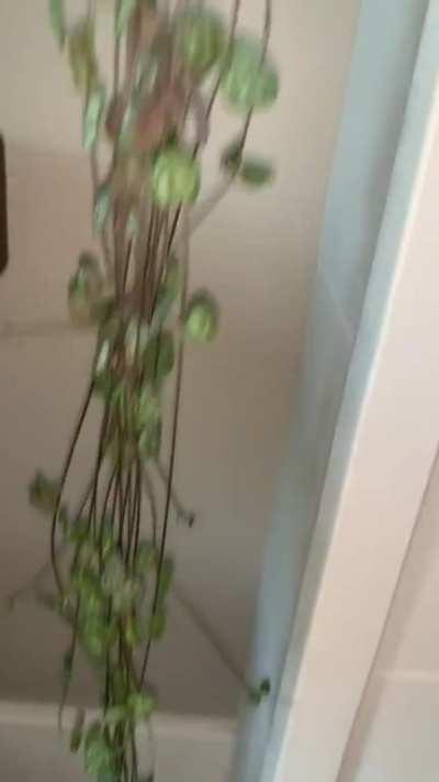 My SOH is now touching the floor at 7.5’