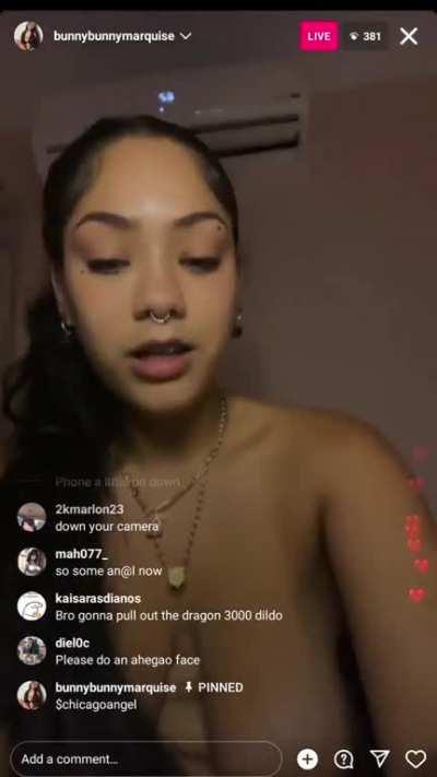 @bunnybunnymarquise 004