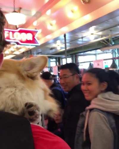 The whole world is not indifferent to her...