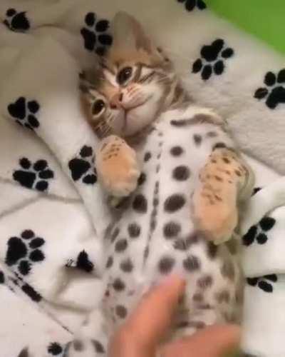 I whip my feets back and forth