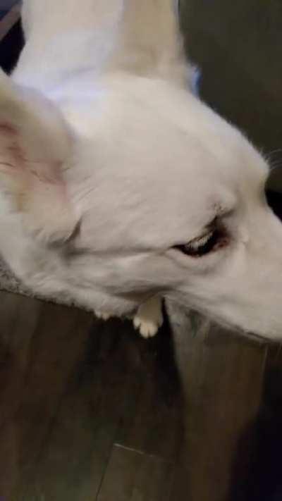 When you make the critical mistake of leaving for 2 hours