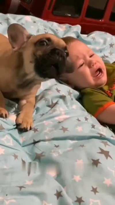 Bruno is giving company to the crying baby