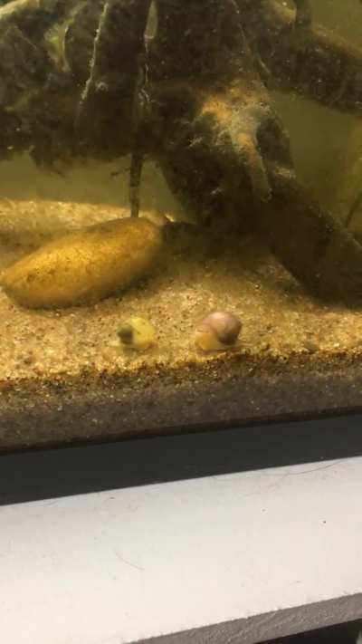 Who's at fault in this head on collision?