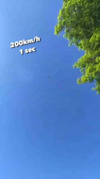 My Drone people need me