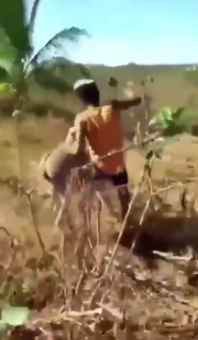 Good on ya donkey, that c””nt deserved it!