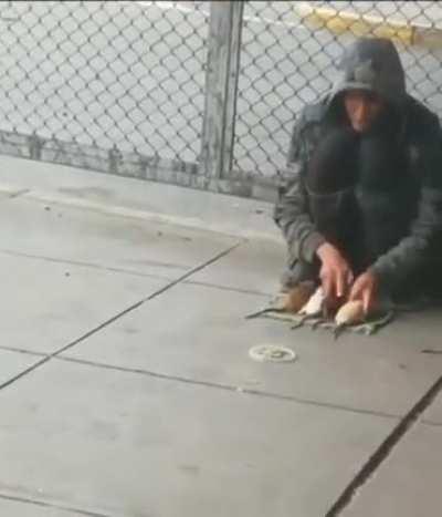 Rat man, trained master splinter himself