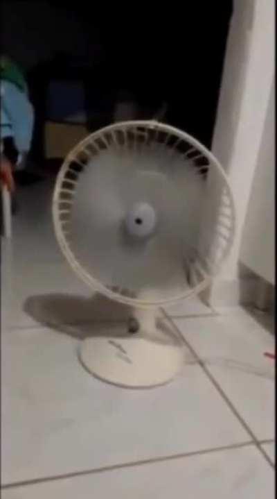 mufasa ligando o ar condicionado quando morava em bangu