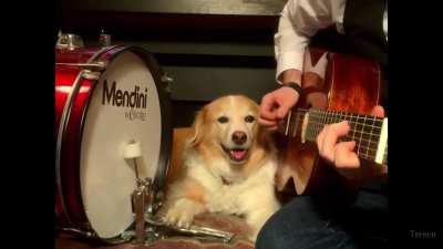 Cheer up you miserable fucks