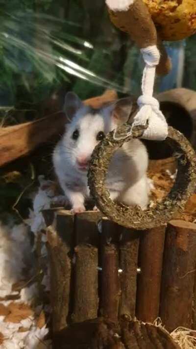 Where will you be when the existential dread sinks in?