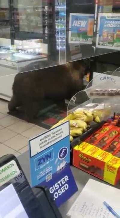 Immah brb I left my wallet in my car