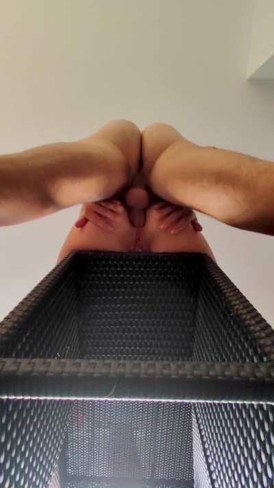 Anal GIF by sexyamalia69