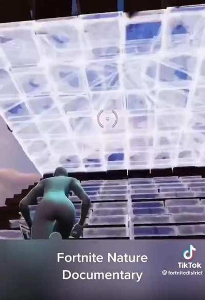 documentary on the sweat