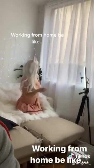 Working from home be like...