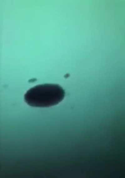 Glory Hole? Nah, No Glory Here. What I Look Like Chief Keef!