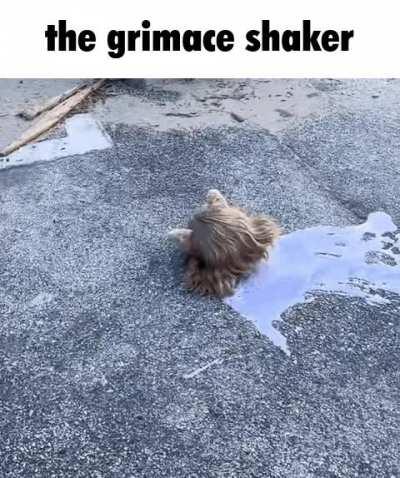 Neco arc drinking the grimace shaker