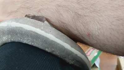 She did circles for a solid 5 minutes...