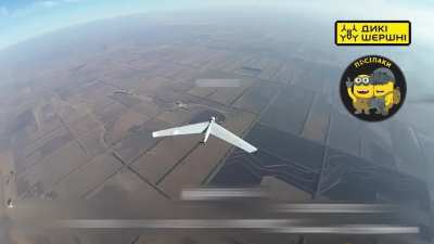 FPV drones of the Posipaki division operators hit 5 Zala, 1 Supercam, 2 Orlan, 1 Lancet. February 2025, location not disclosed.