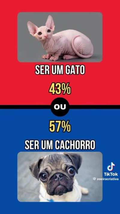 Perguntas bem duvidosas parte 1