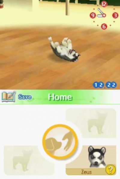 Nintendogs Anti Piracy