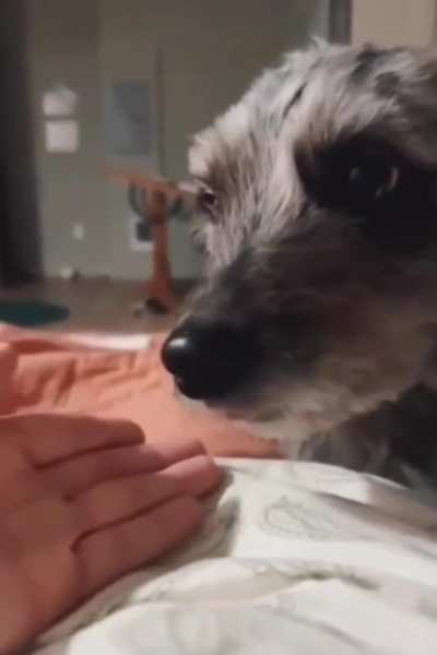 This made my heart melt