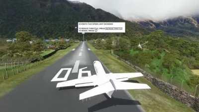 [Microsoft Flight Simulator 2020] 10/10 Perfect Landing