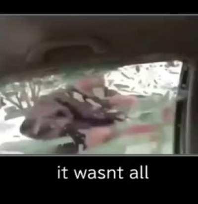 Are animesexuals valid? No❤️