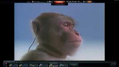 OG will remember that white tiger P