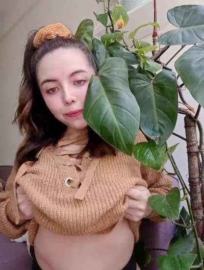 My girlfriend found the strangest little bug on one of our houseplants today. When I came back from getting my camera, her head was close to the leaf where the bug was. The bug was nowhere to be found. It gets stranger because she constantly asks me how h