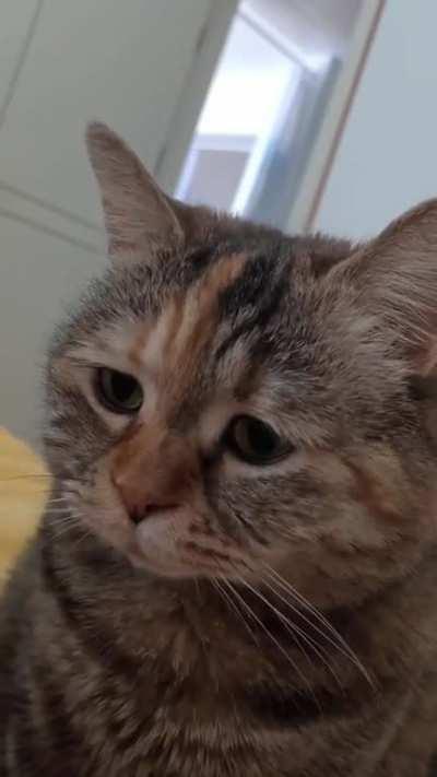 dont look at me with such pathetic eyes ill get-