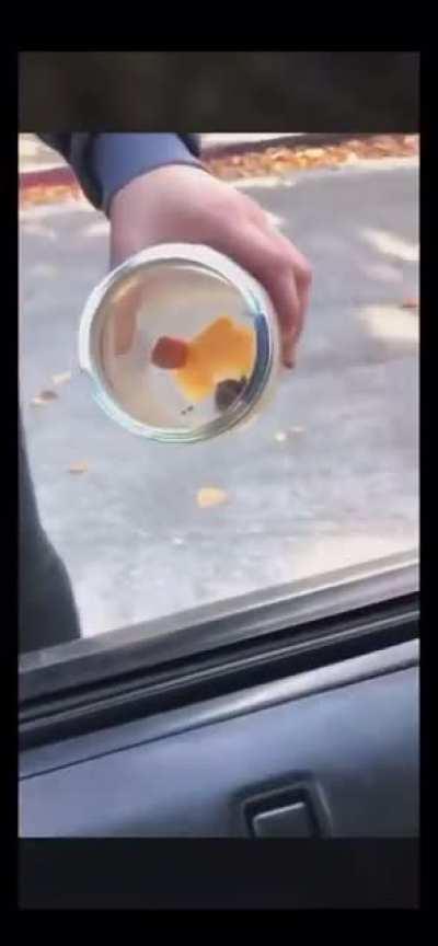 I&rsquo;m getting in