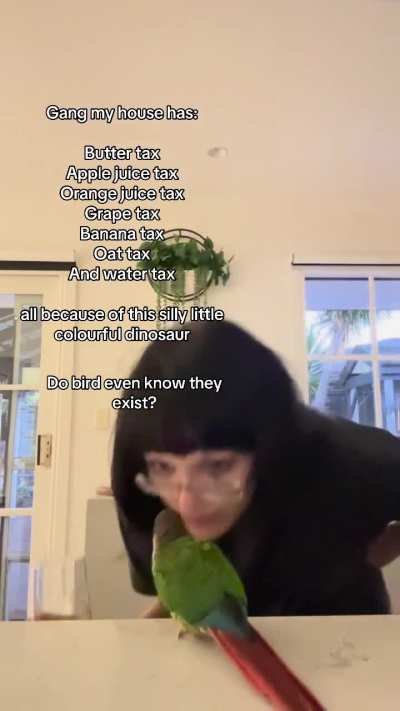 Chino the apple juice stealer  (video dump)