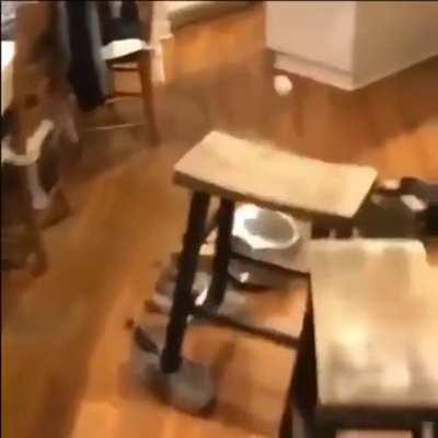 The wasnt supposed to fall