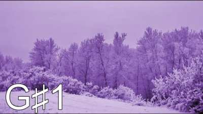 Short video of low notes from bass of the group Purple Ink.