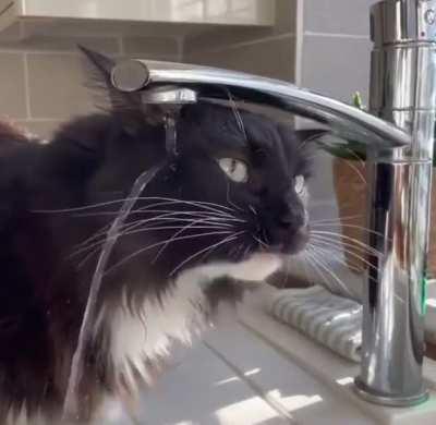 He just need an update.