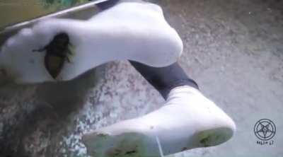 Imagine getting a face full of Helga Li’s socks in your final moments 🤤