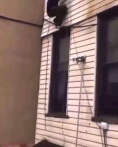 Told bro leave the house like a regular human